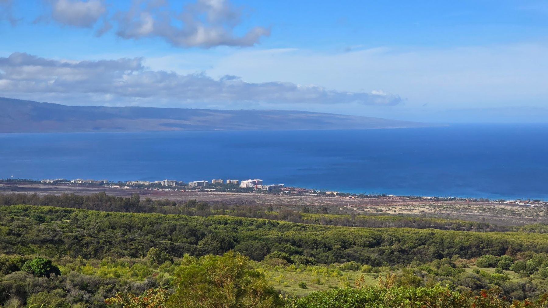 Photo 5 of Kapalua Ziplines in Kapalua, Maui
