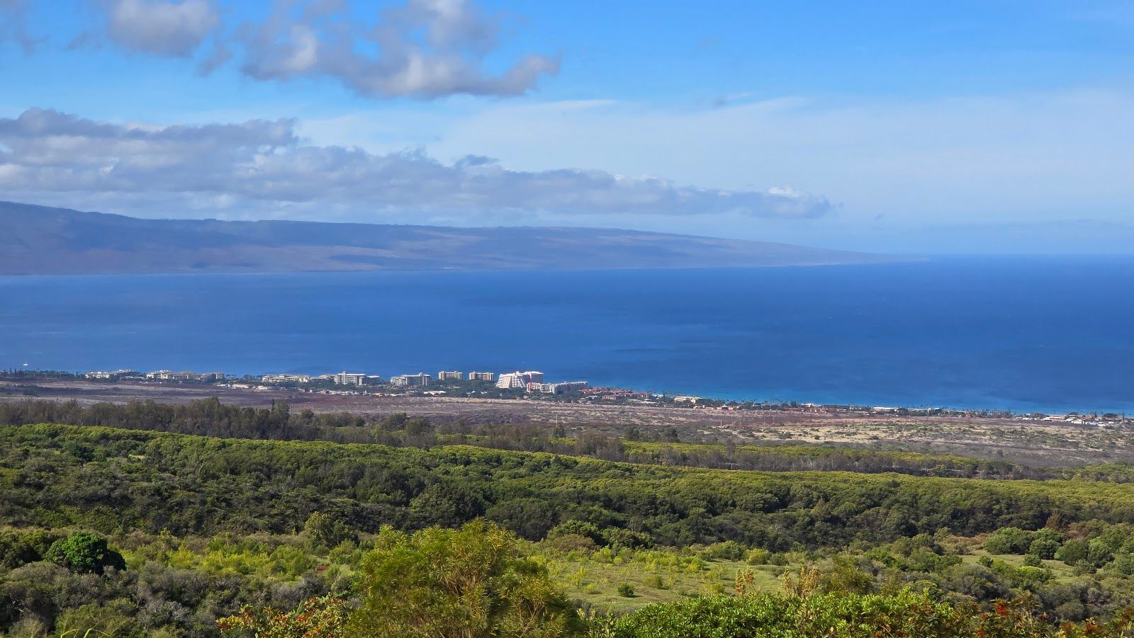 Photo 5 of Kapalua Ziplines in Kapalua, Maui