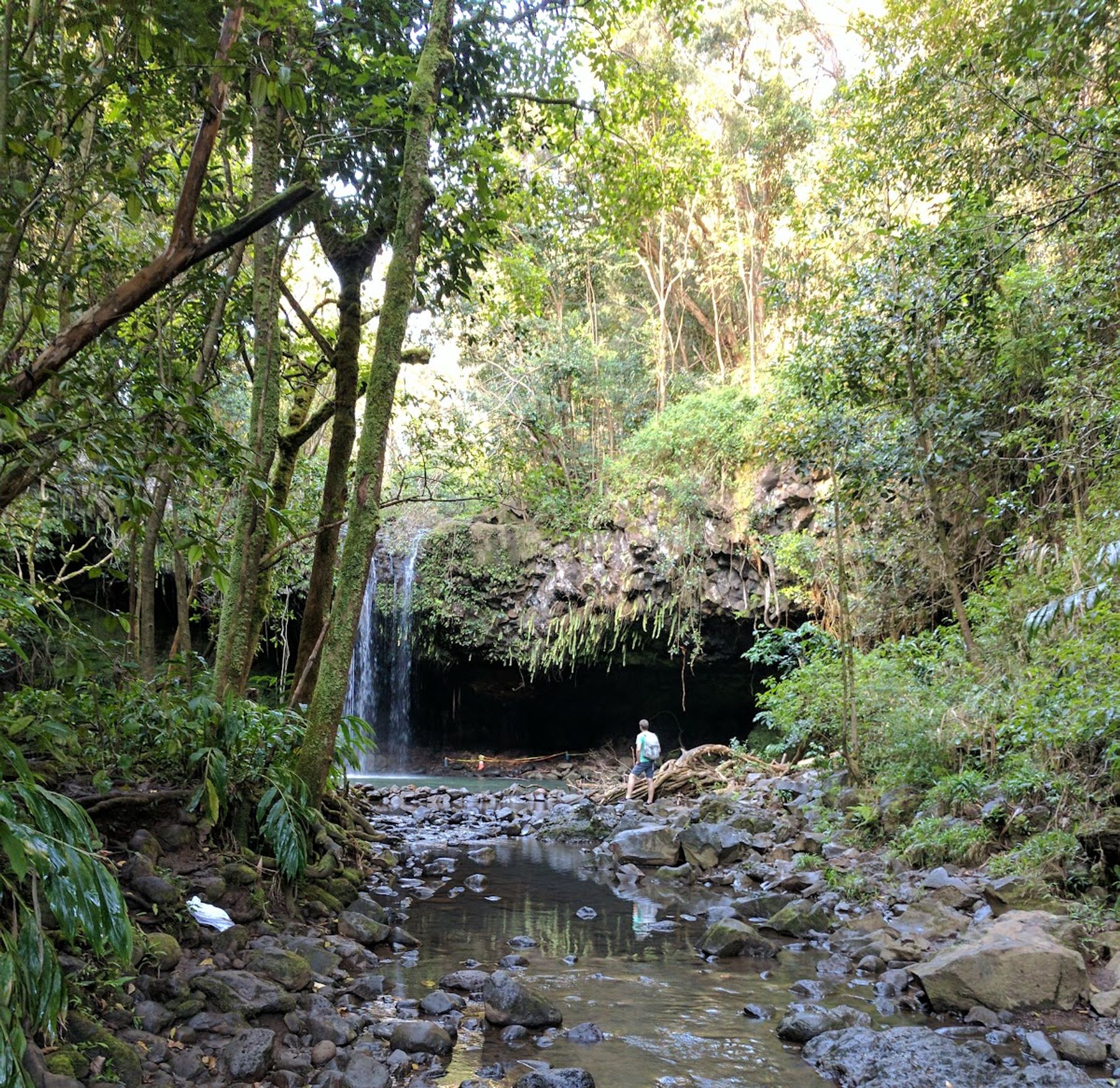 Photo 2 of Twin Falls Maui in Haʻikū, Maui