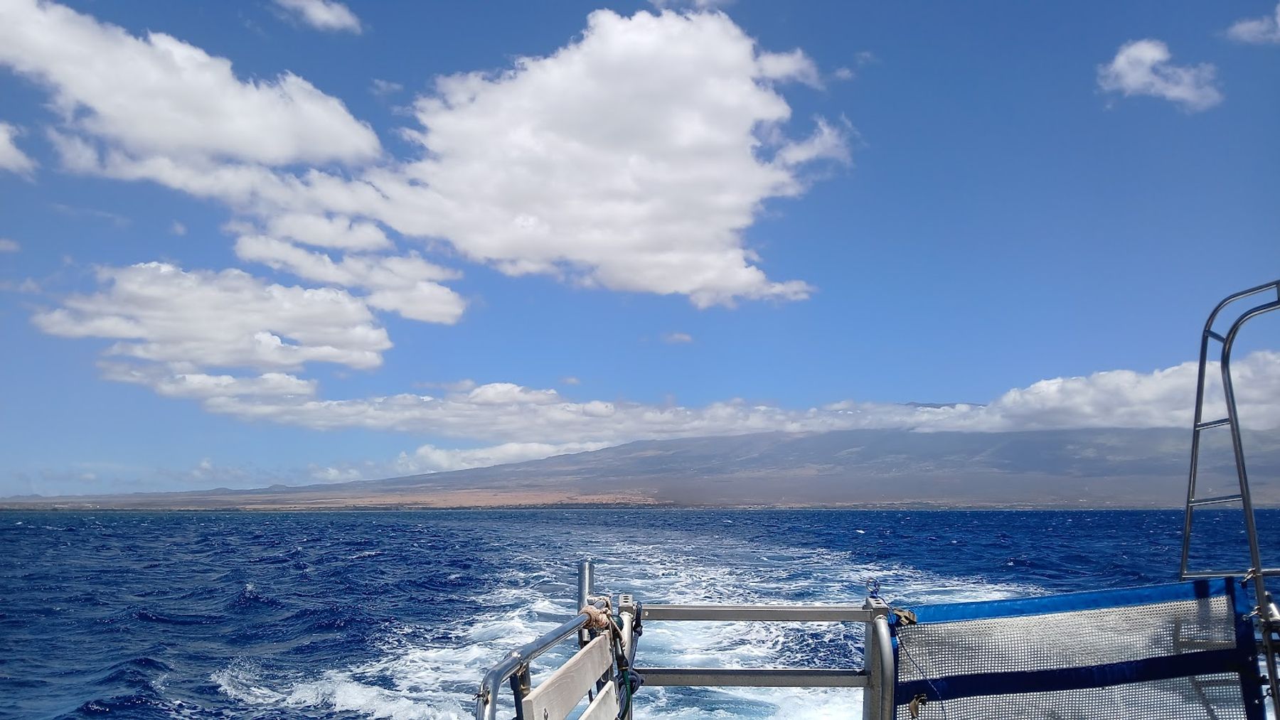 Photo 5 of Malolo Molokini Snorkeling Tours in Māʻalaea, Maui