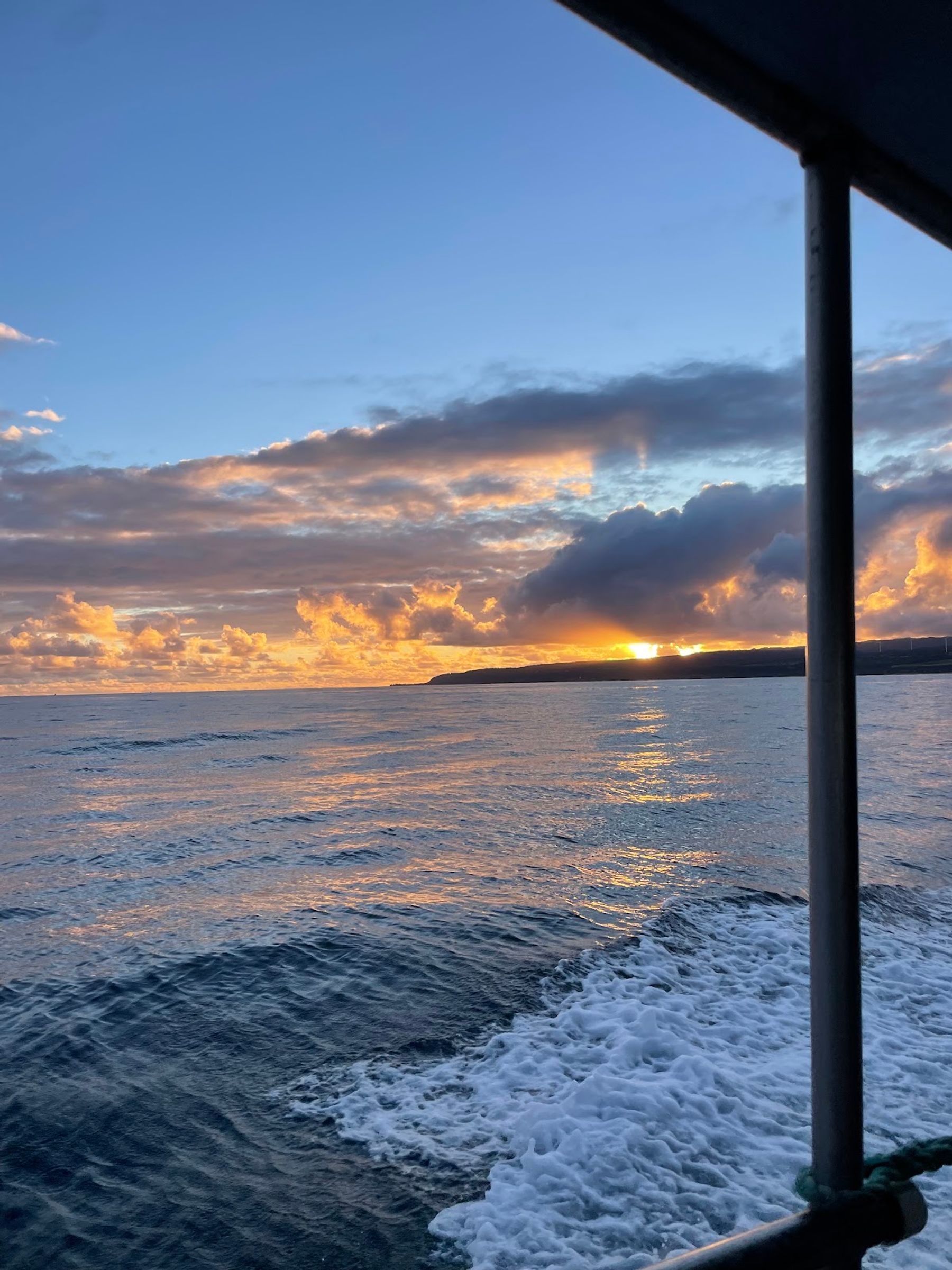 Photo 9 of North Shore Shark Adventures in Haleʻiwa, Oahu
