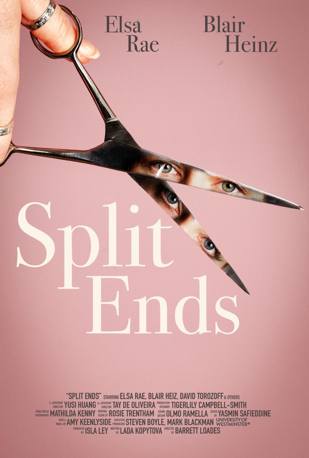 Split Ends Poster