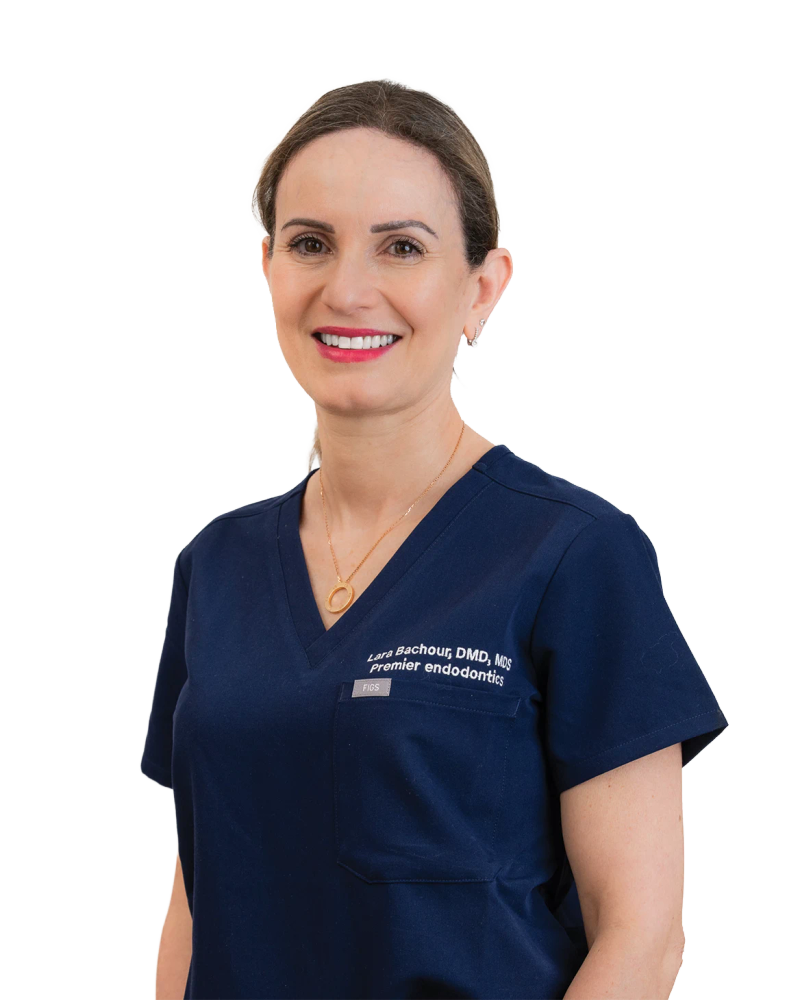Dr. Lara Bachour, DMD MDS