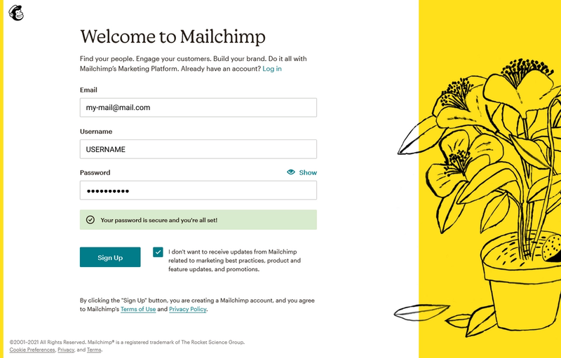 Mailchimp Sign Up