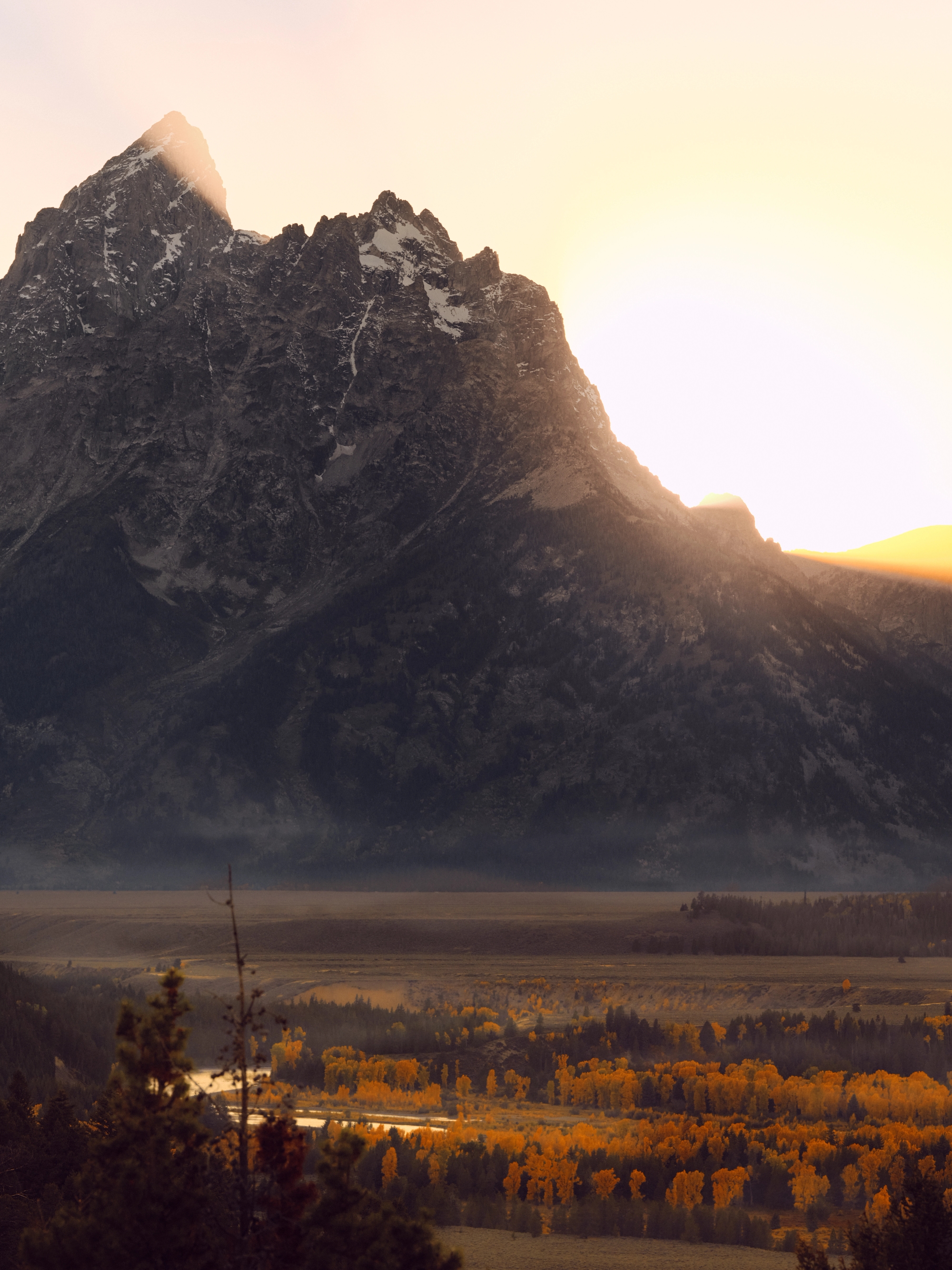 Defender — Fall 2025