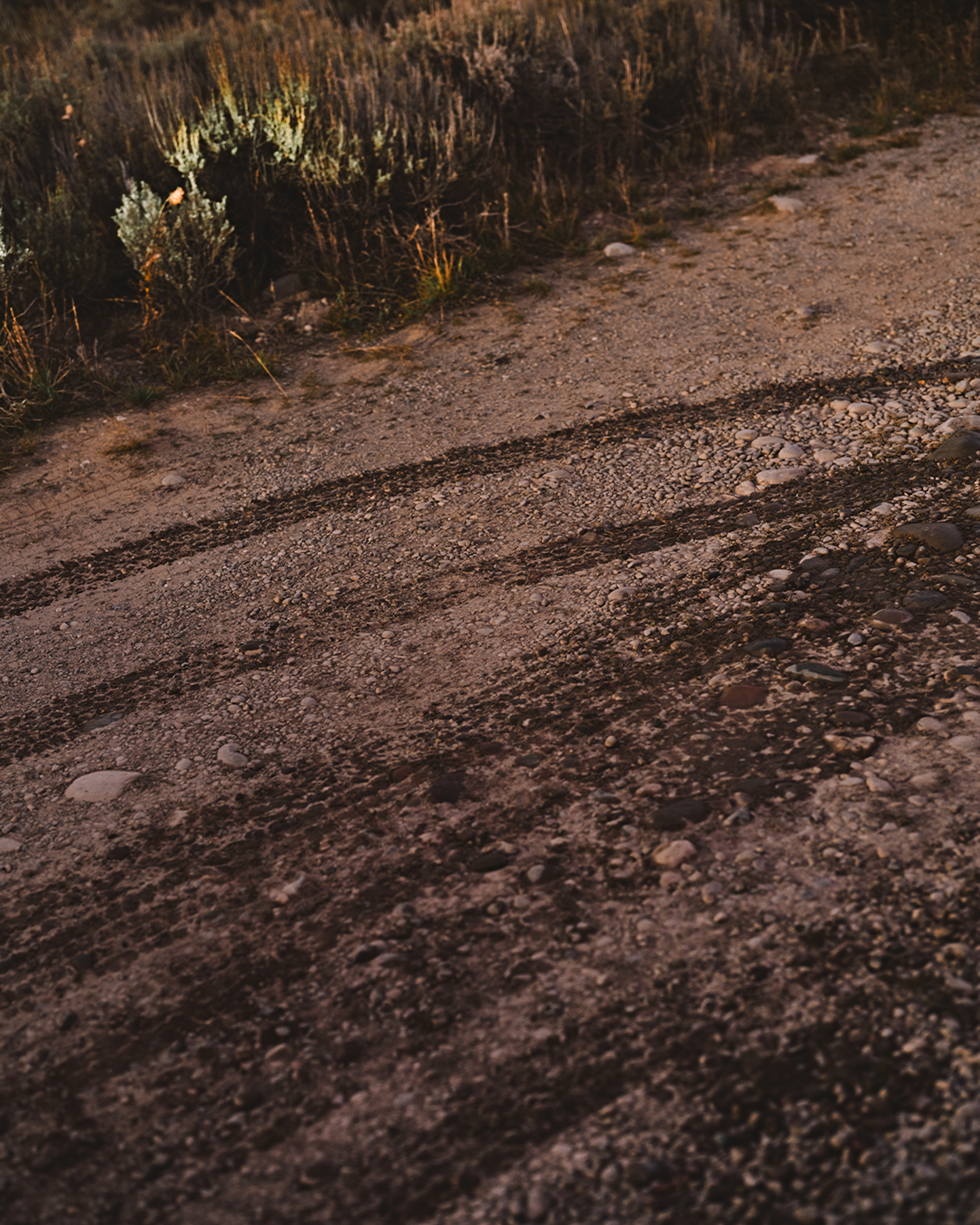 Defender — Fall 2025