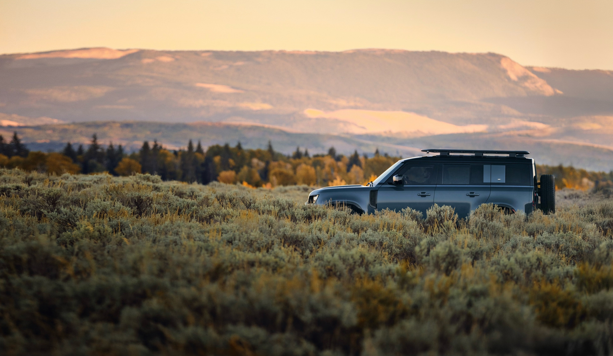 Defender — Fall 2025