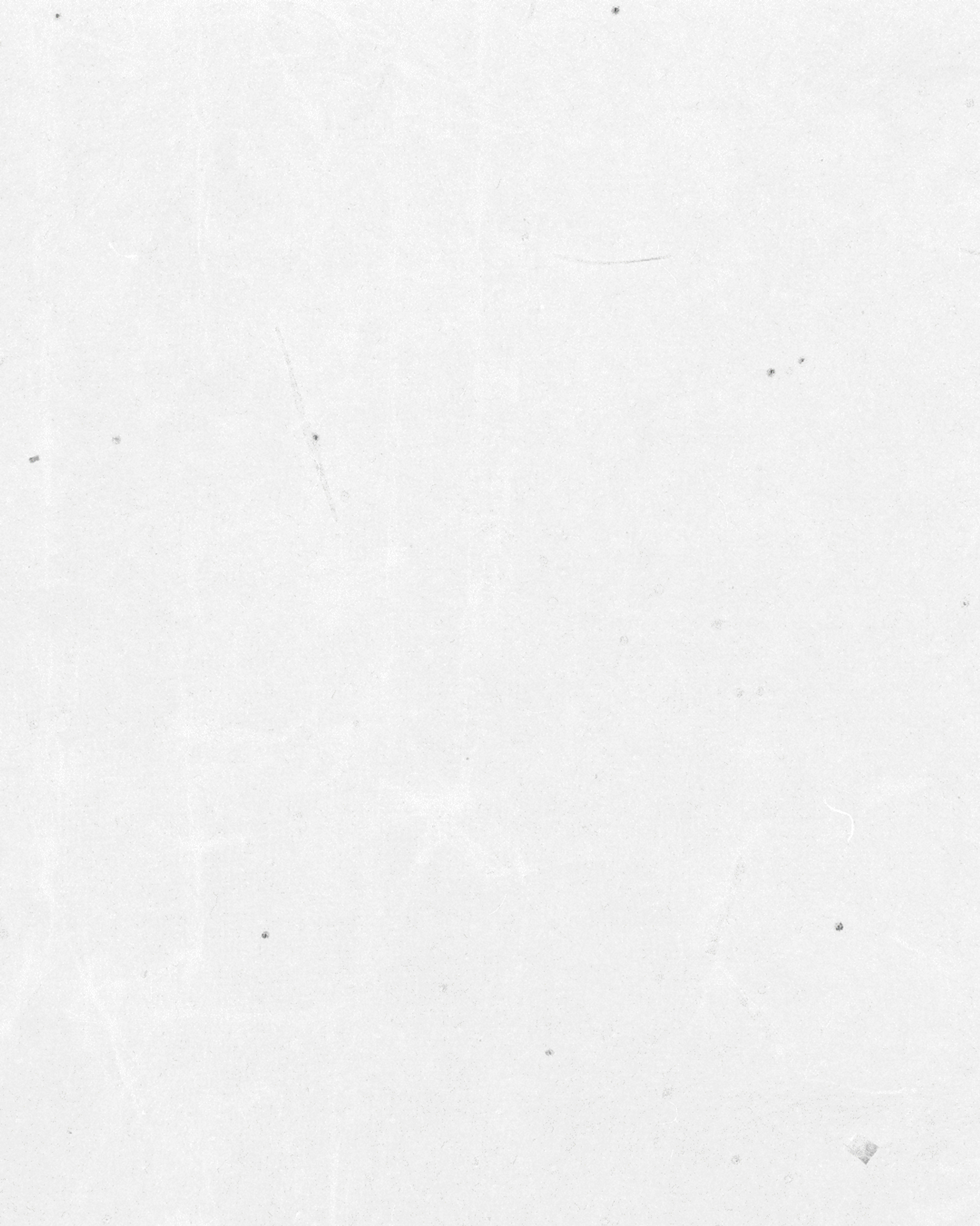 Fragment Design x The Face