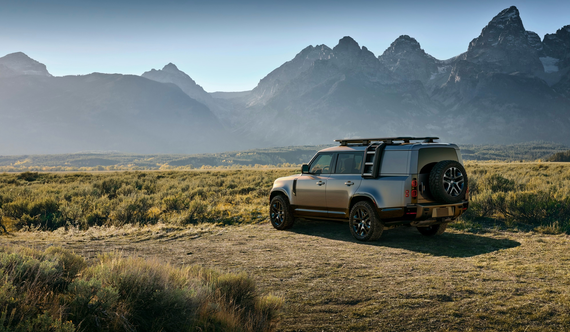 Defender — Fall 2025