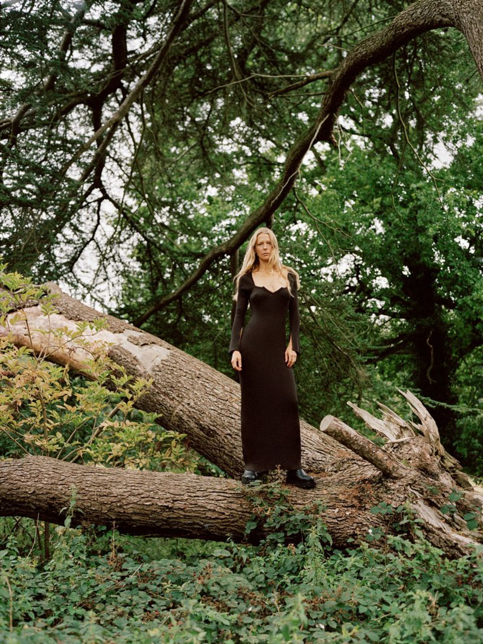 Autumn / Winter 2020 Editorial