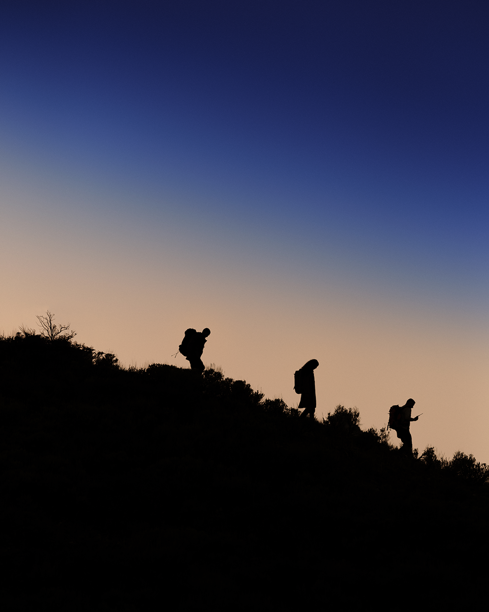 Defender — Fall 2025