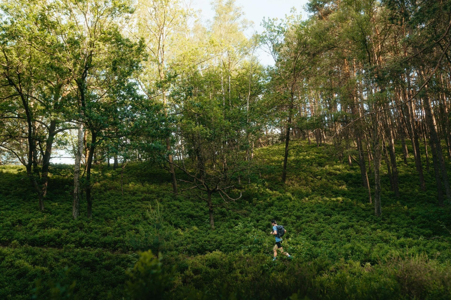 Runner forest wide — Björn Lexius, Hamburg, Germany