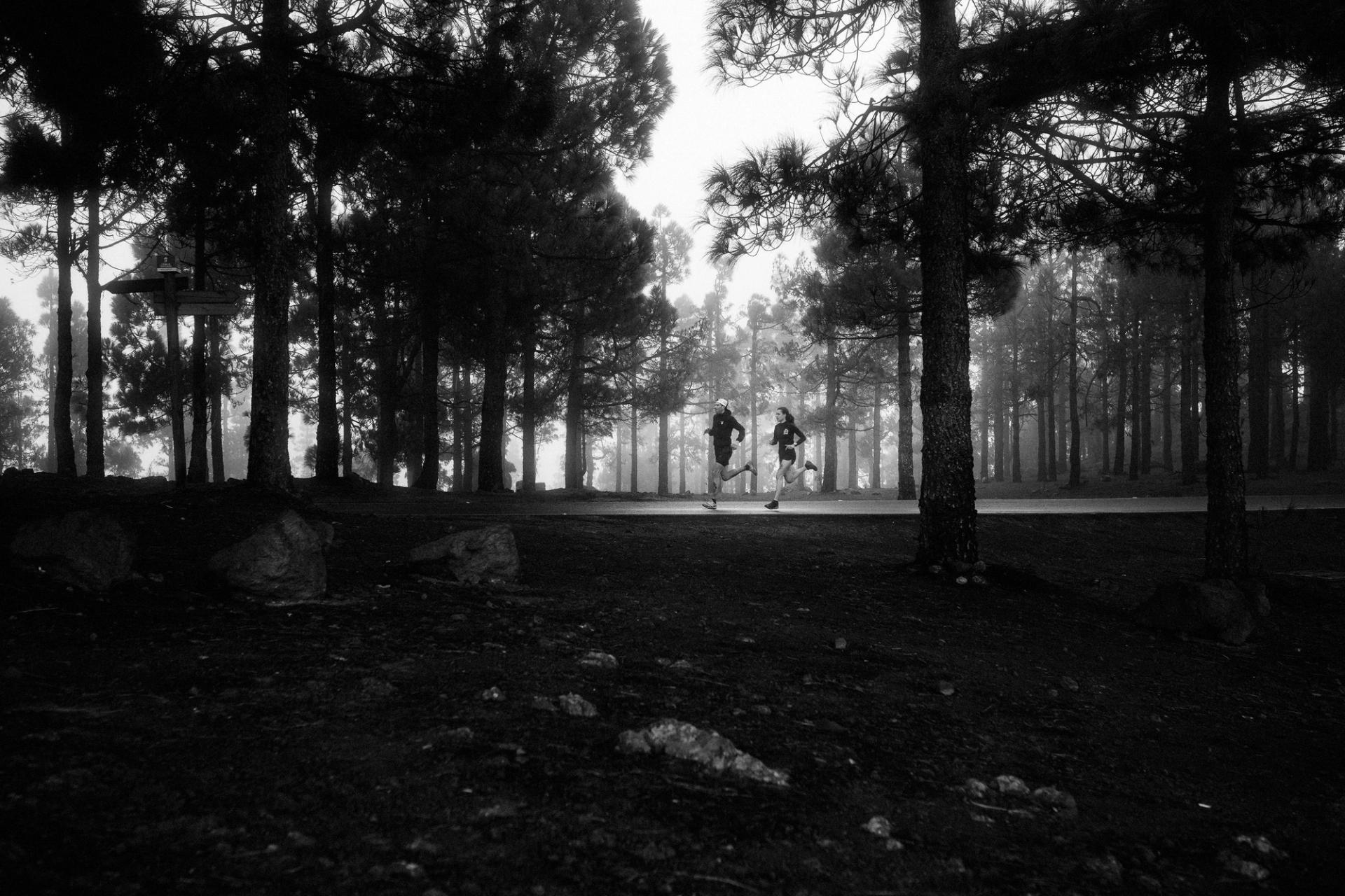 Runners pine forest black white — Björn Lexius, Gran Canaria, Spain