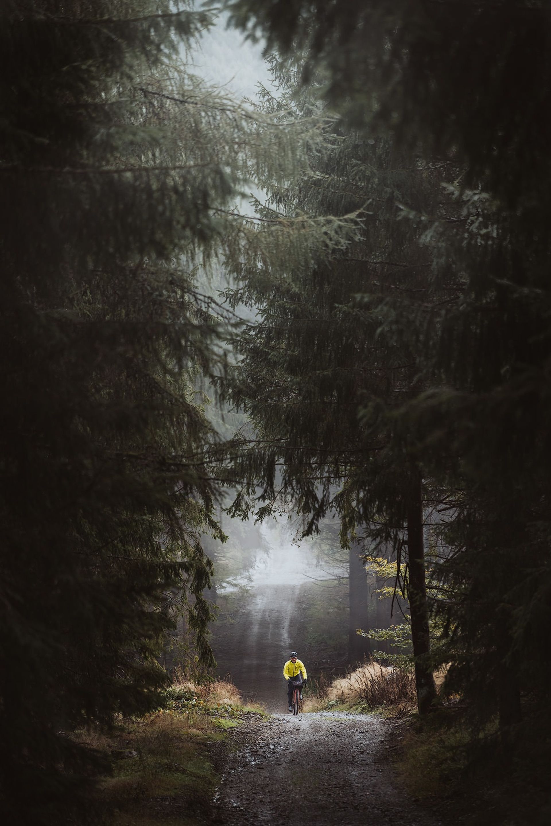 Rider forest path misty — Björn Lexius, Sauerland, Germany