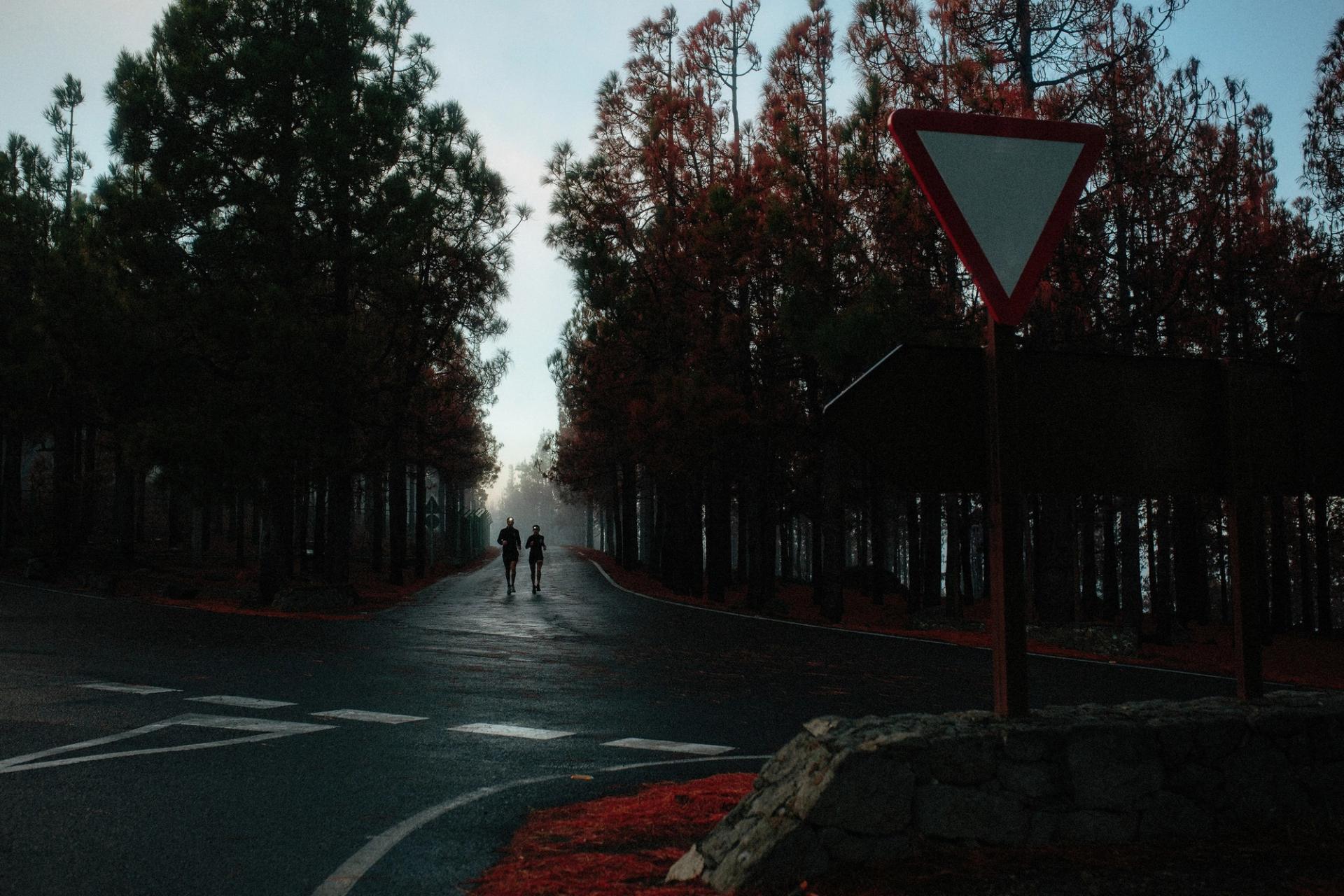 Two runners forest road dawn — Björn Lexius, Gran Canaria, Spain