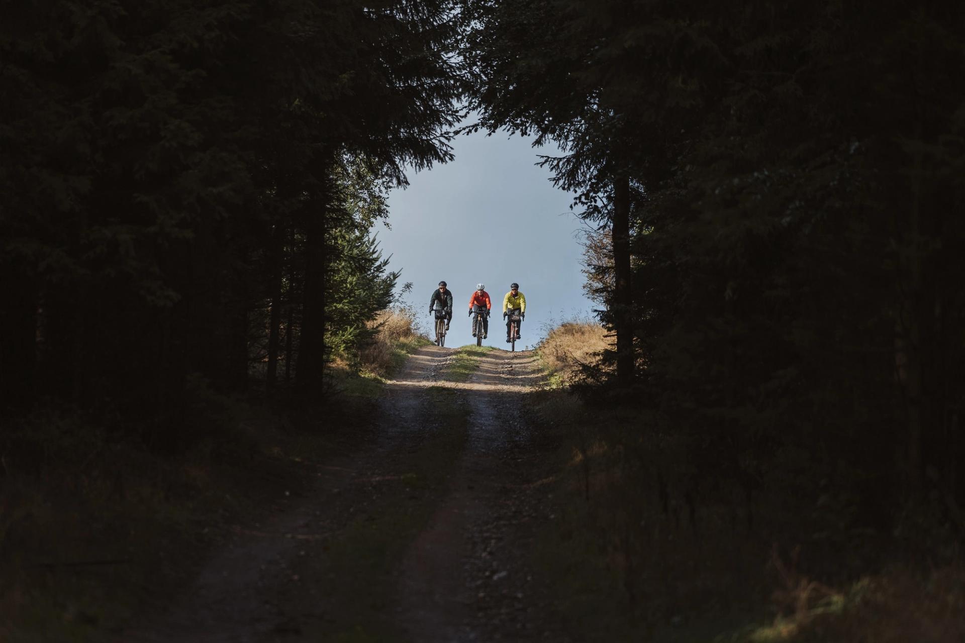 Three riders forest exit — Björn Lexius, Sauerland, Germany