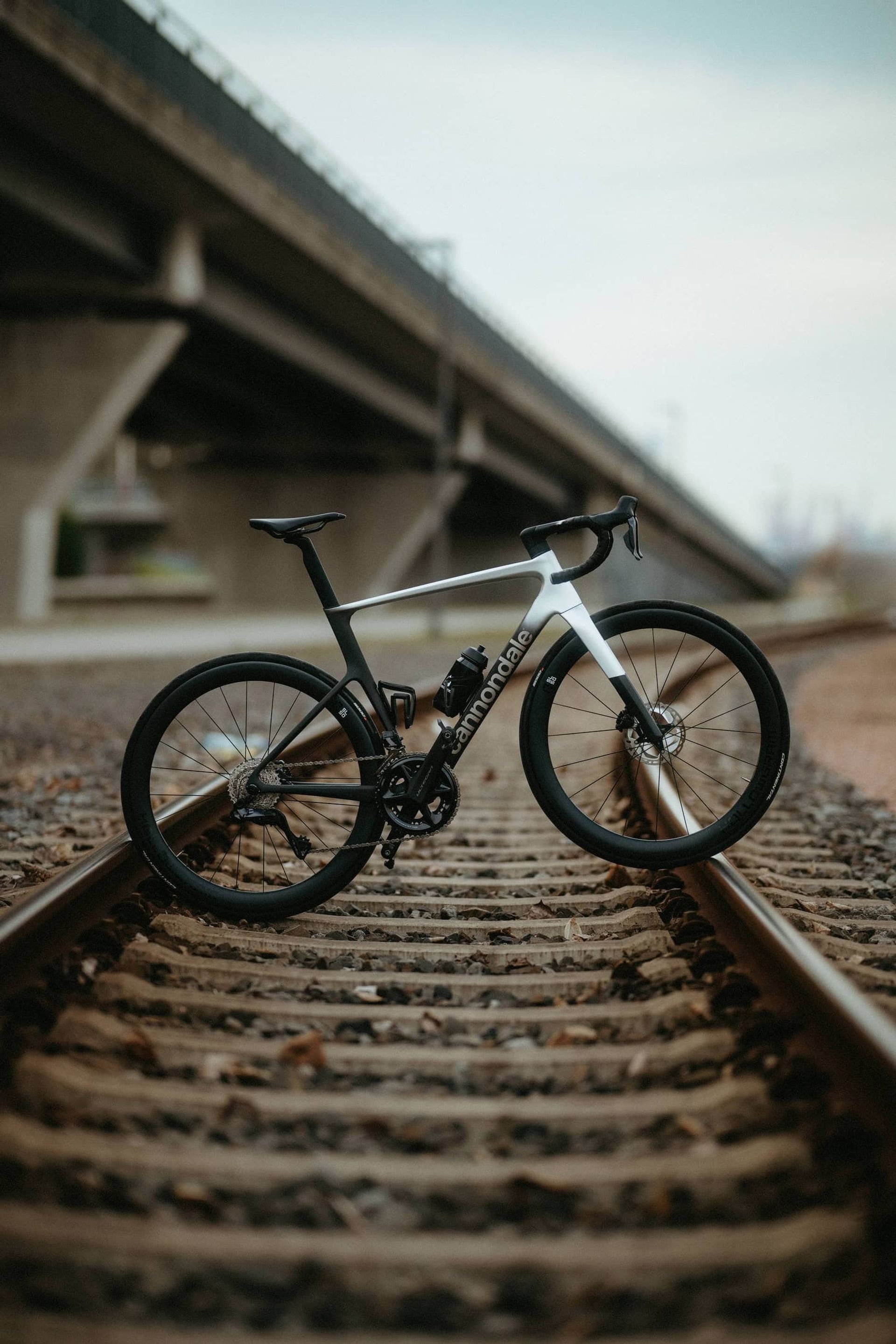 Cannondale tracks — Björn Lexius, Hamburg, Germany