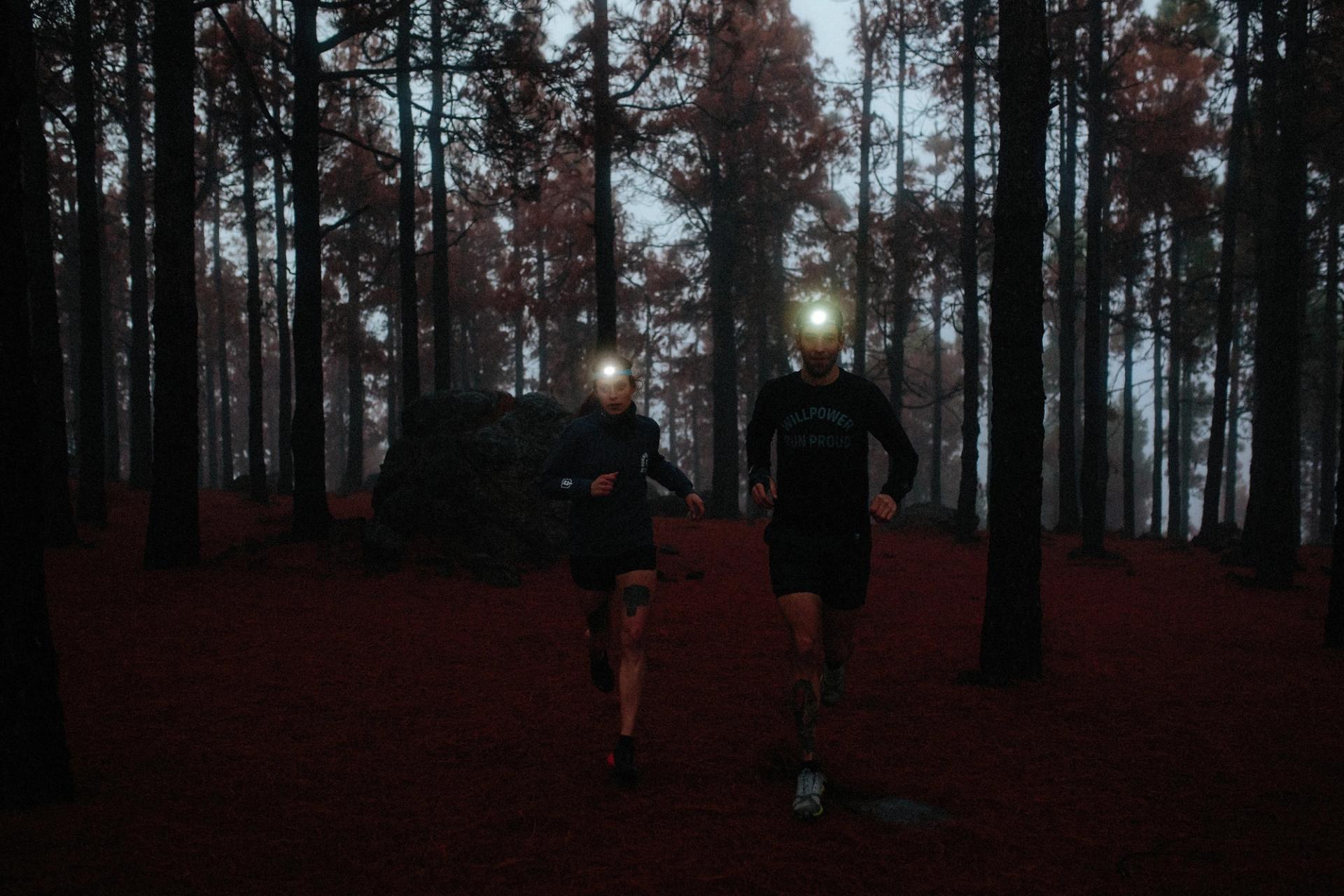 Night run headlamps forest — Björn Lexius, Gran Canaria, Spain