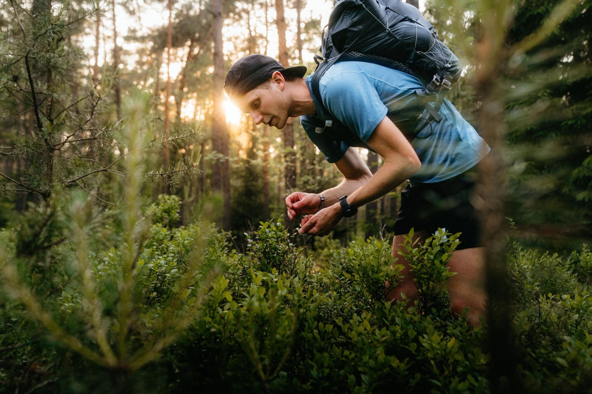 Runner picking berries — Björn Lexius, Hamburg, Germany