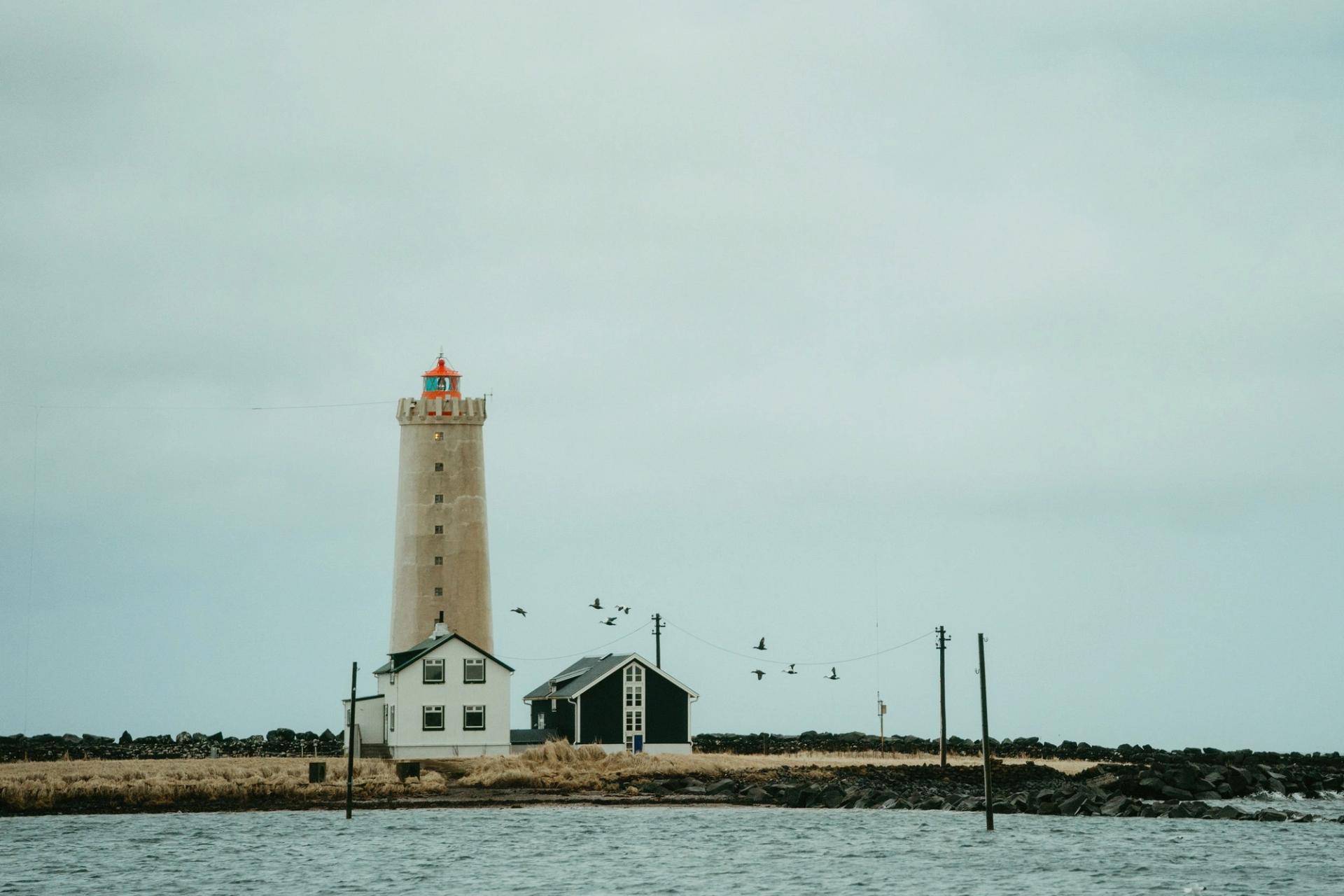 Lighthouse and houses on the Icelandic coast with birds in flight — Björn Lexius, Iceland