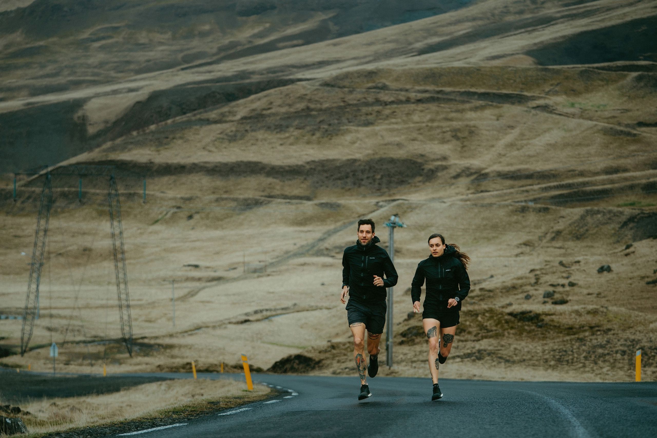 The Whale Run Iceland