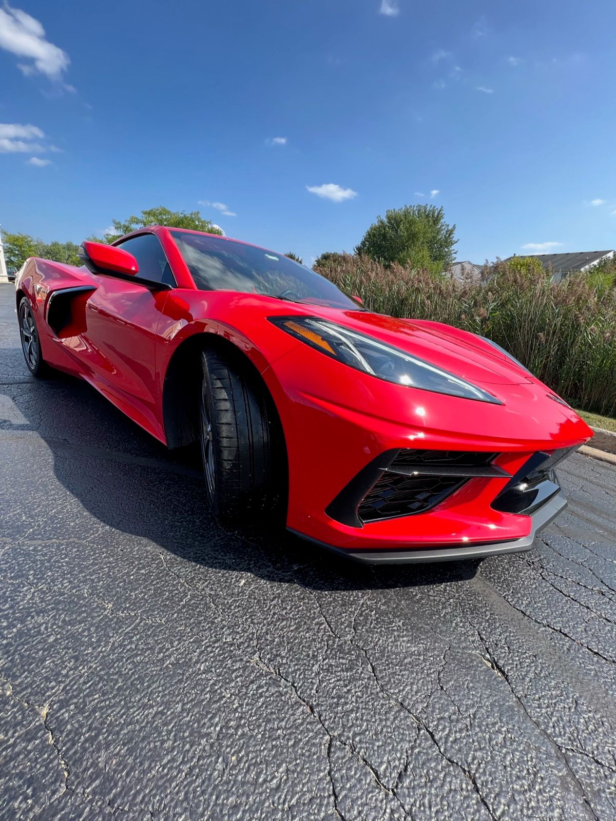 Red C8 Corvette front quarter after detail