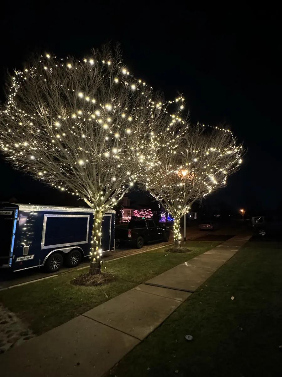 Holiday lights on roofline