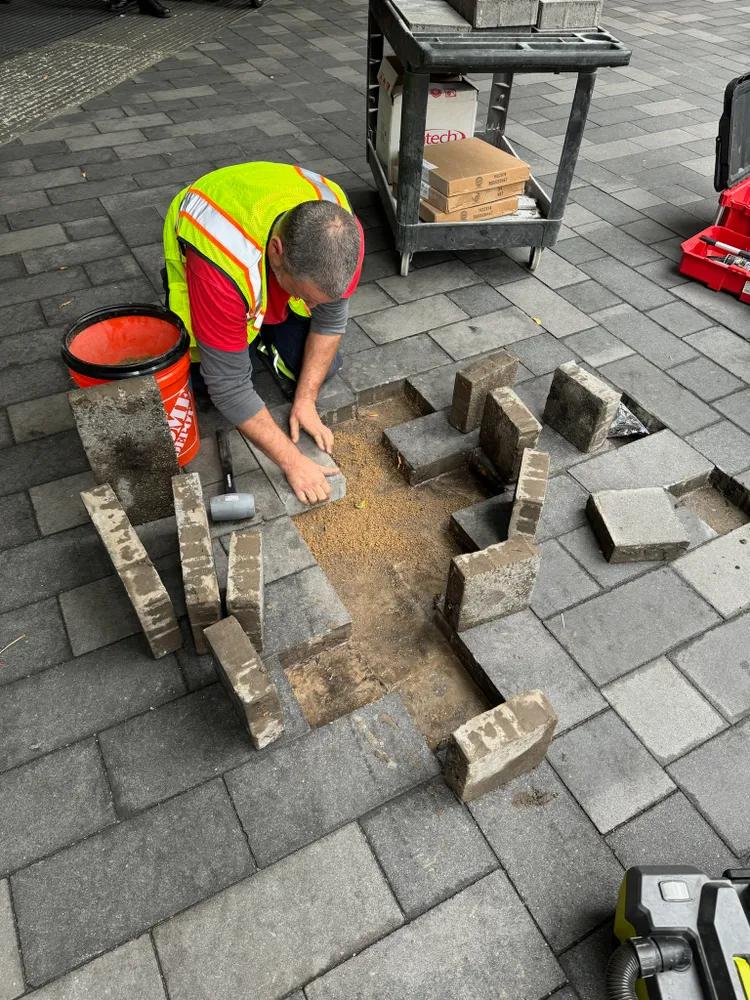 Patio paver restoration