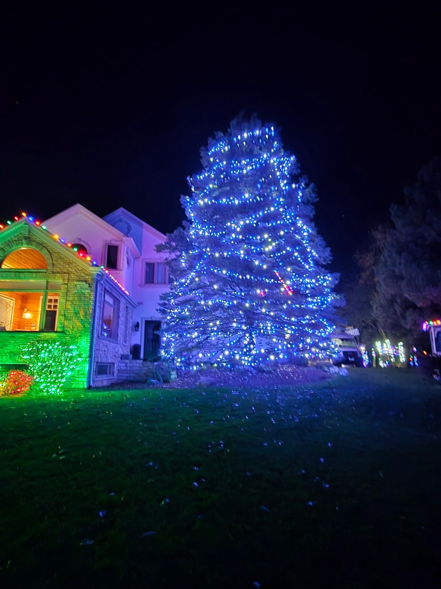 Residential Christmas lights