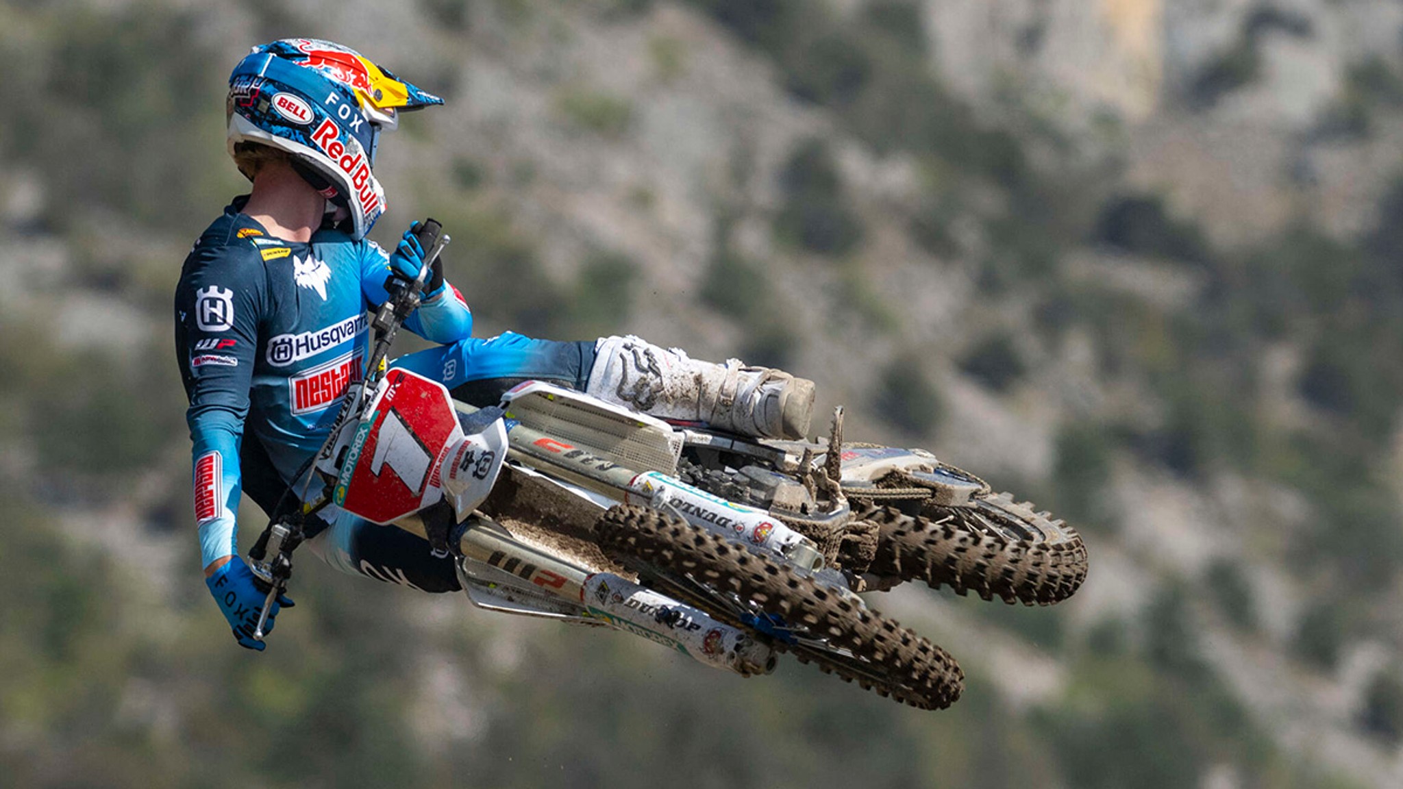 Trentino - Rider Comments