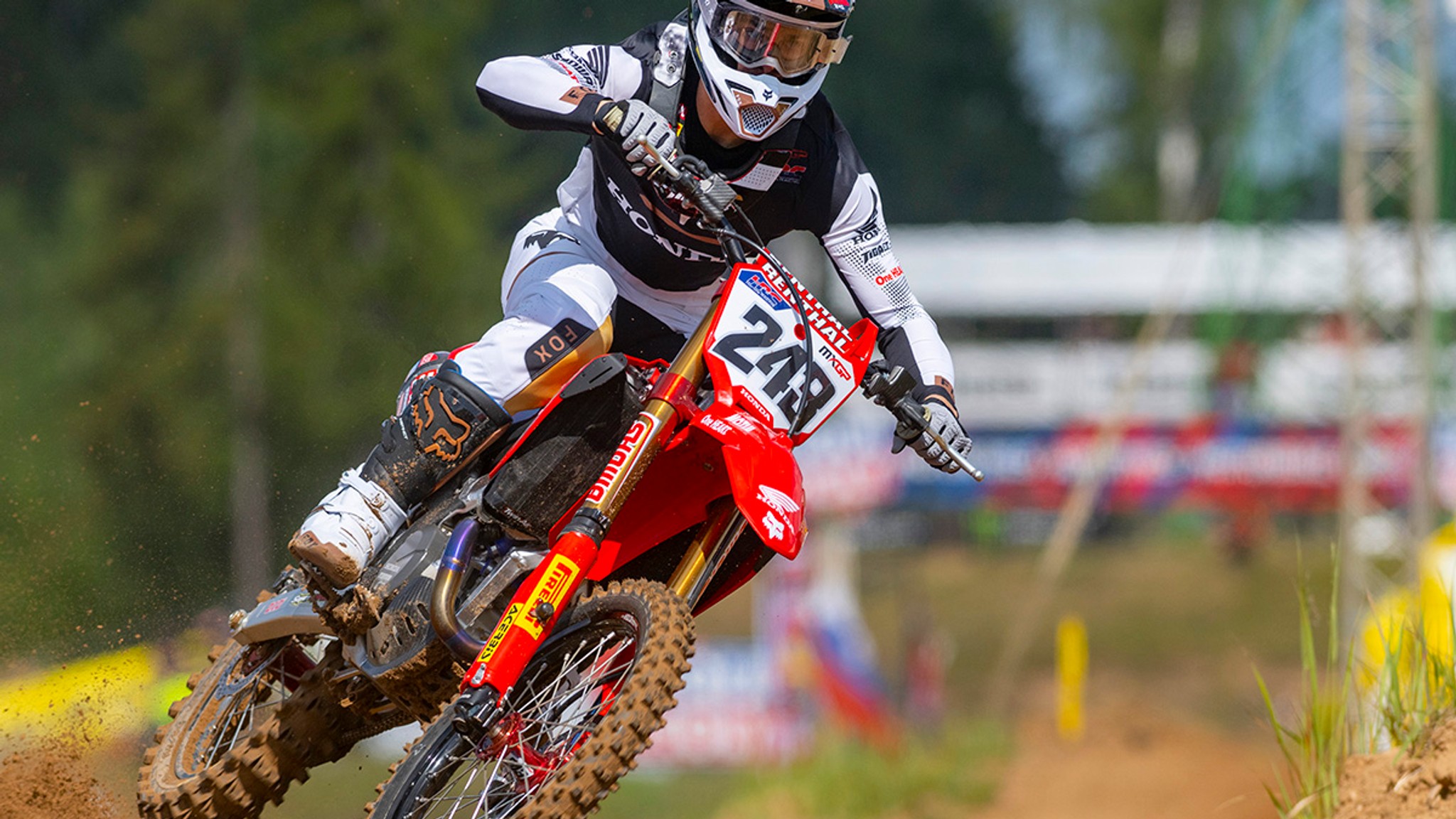 Tim Gajser - Consistency Counts