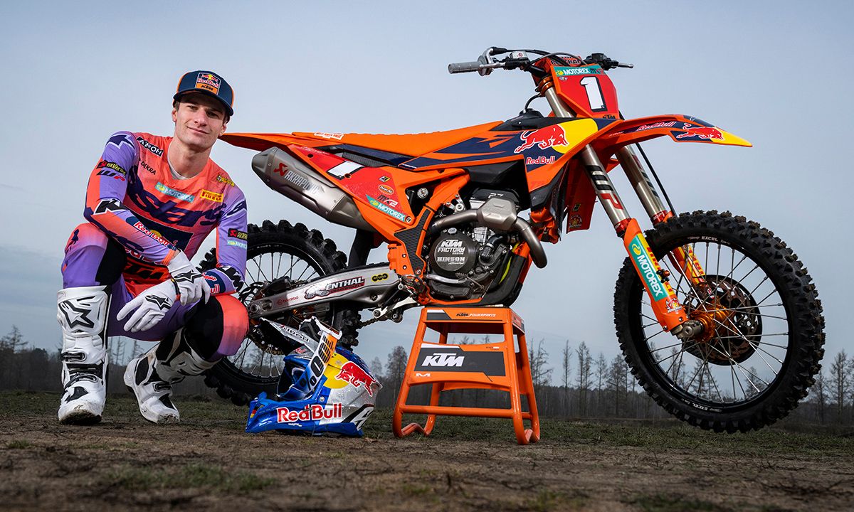 Langenfelder in 2026 - Defence image