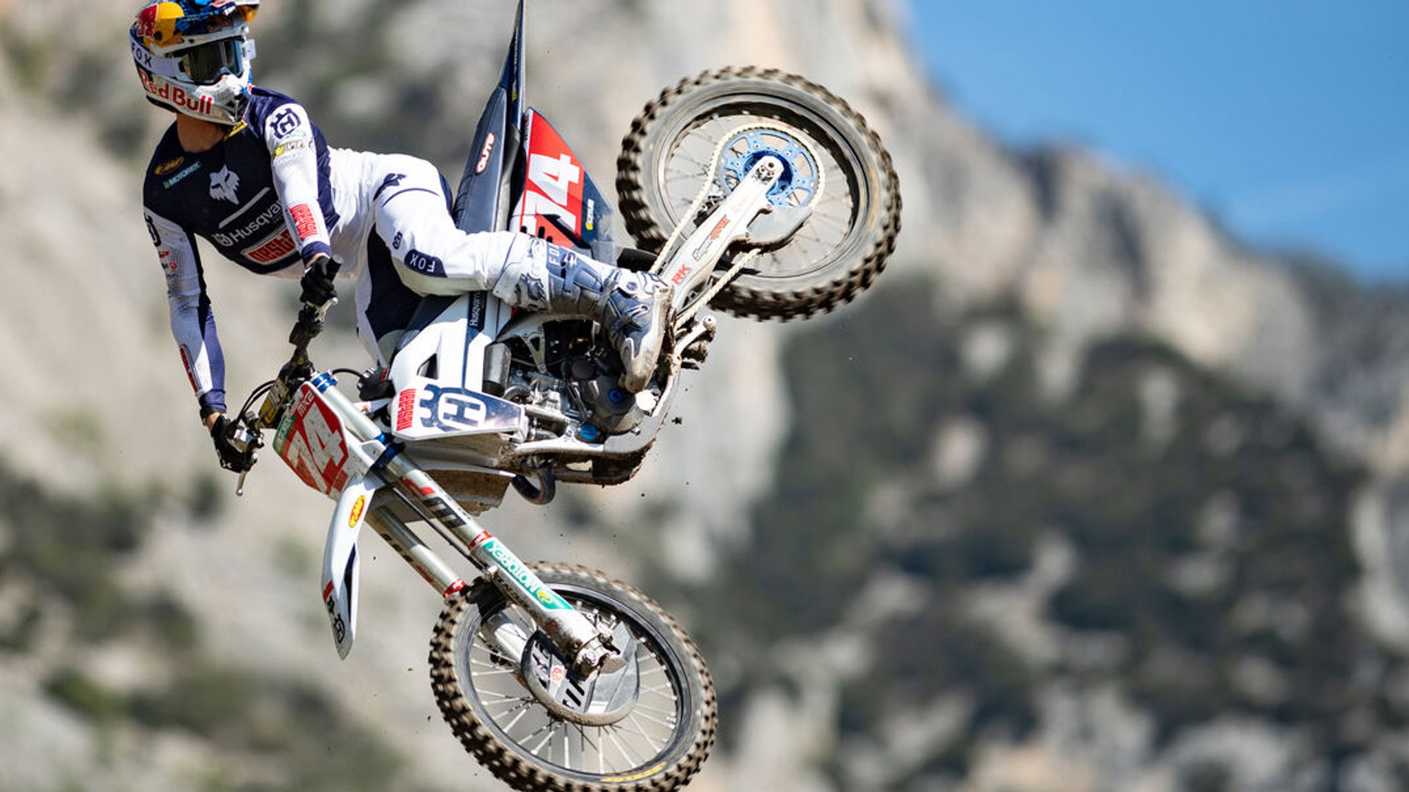 Kay De Wolf - Gallery