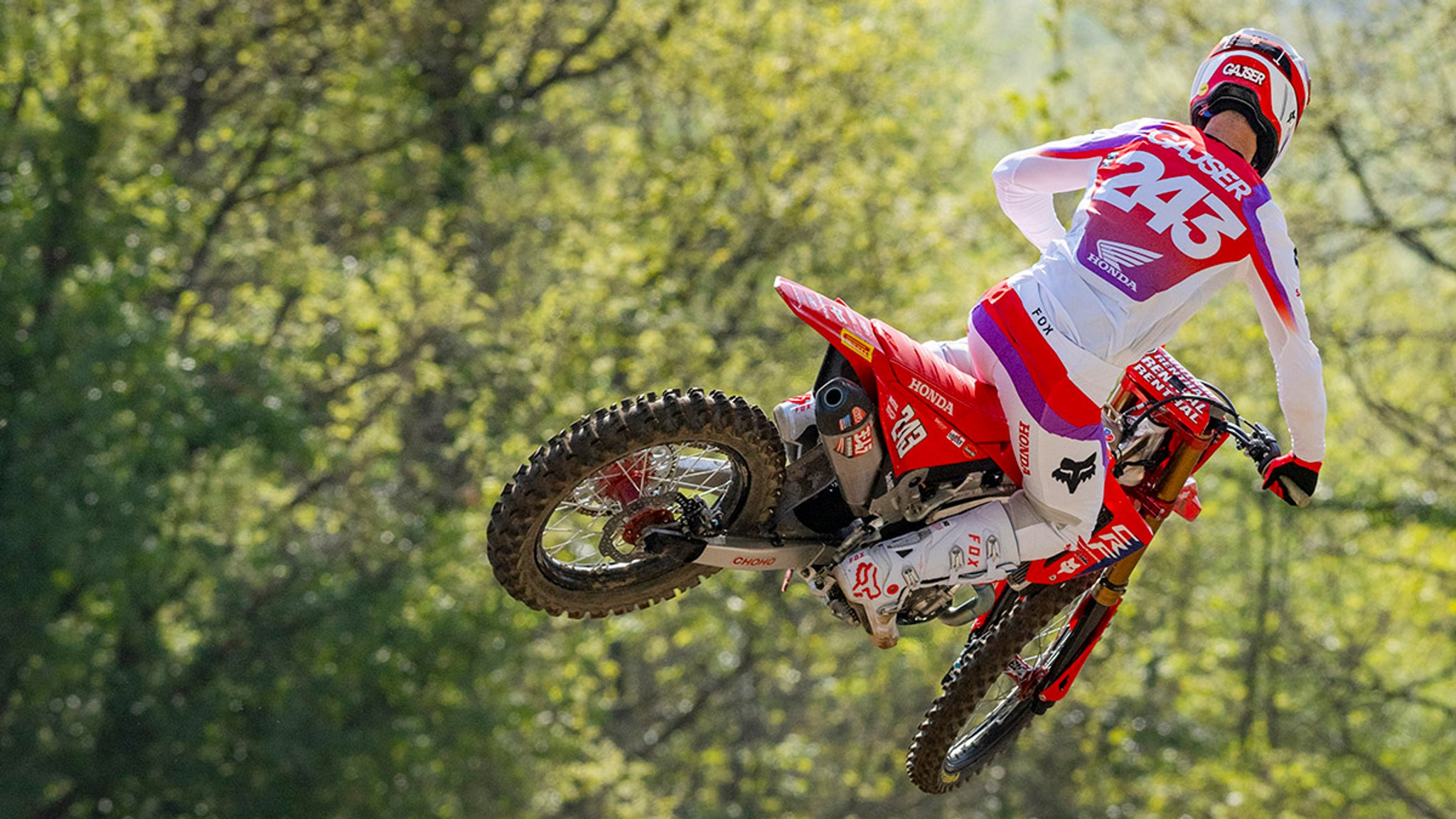 Gajser Out of Portugal
