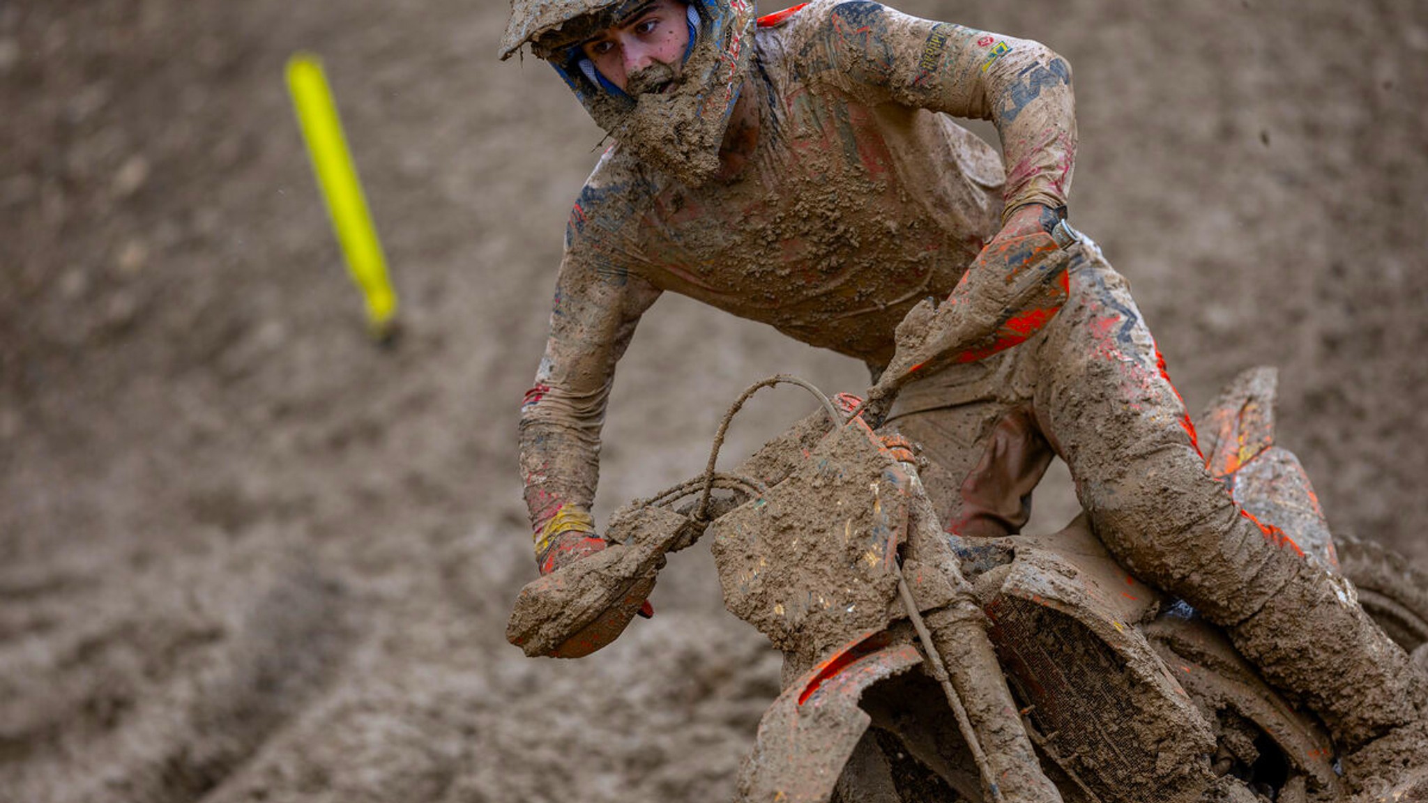 Everts Wins - MX2 Maggiora