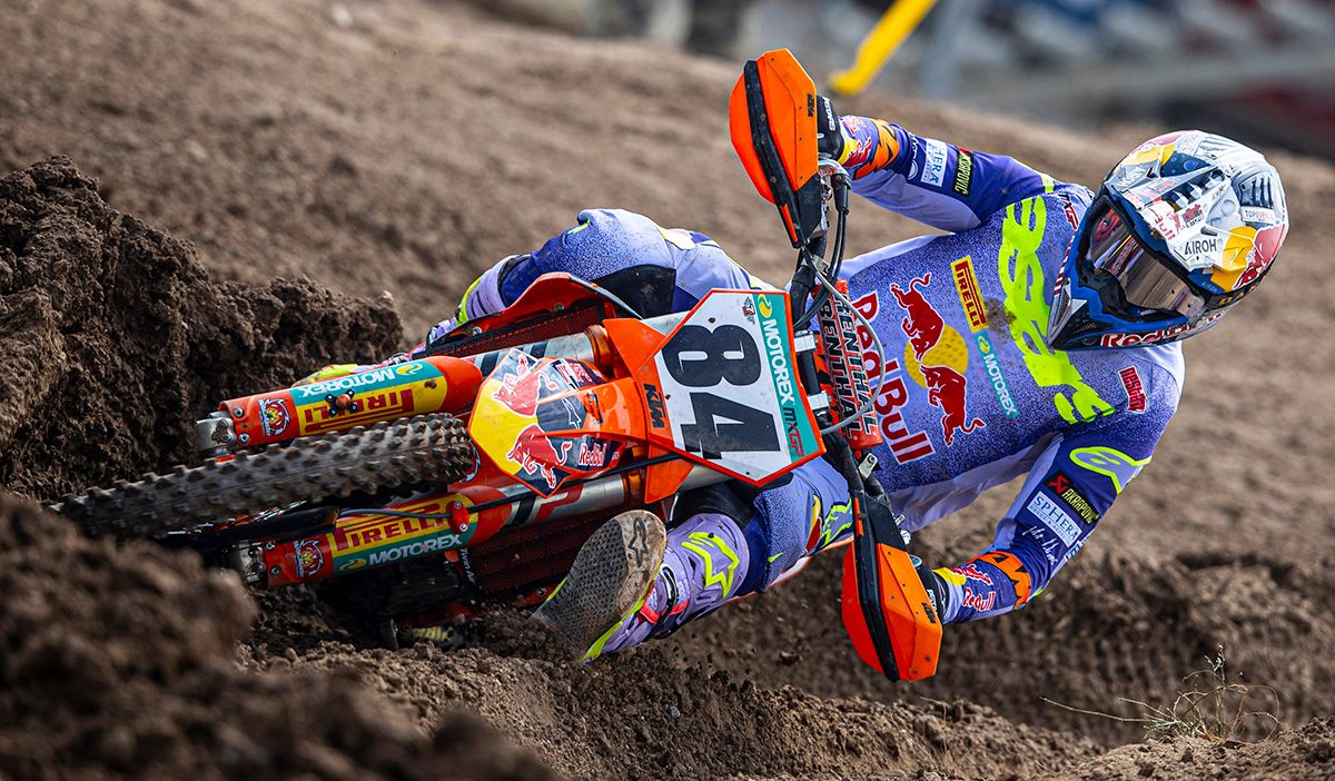 Herlings in For Lierop image