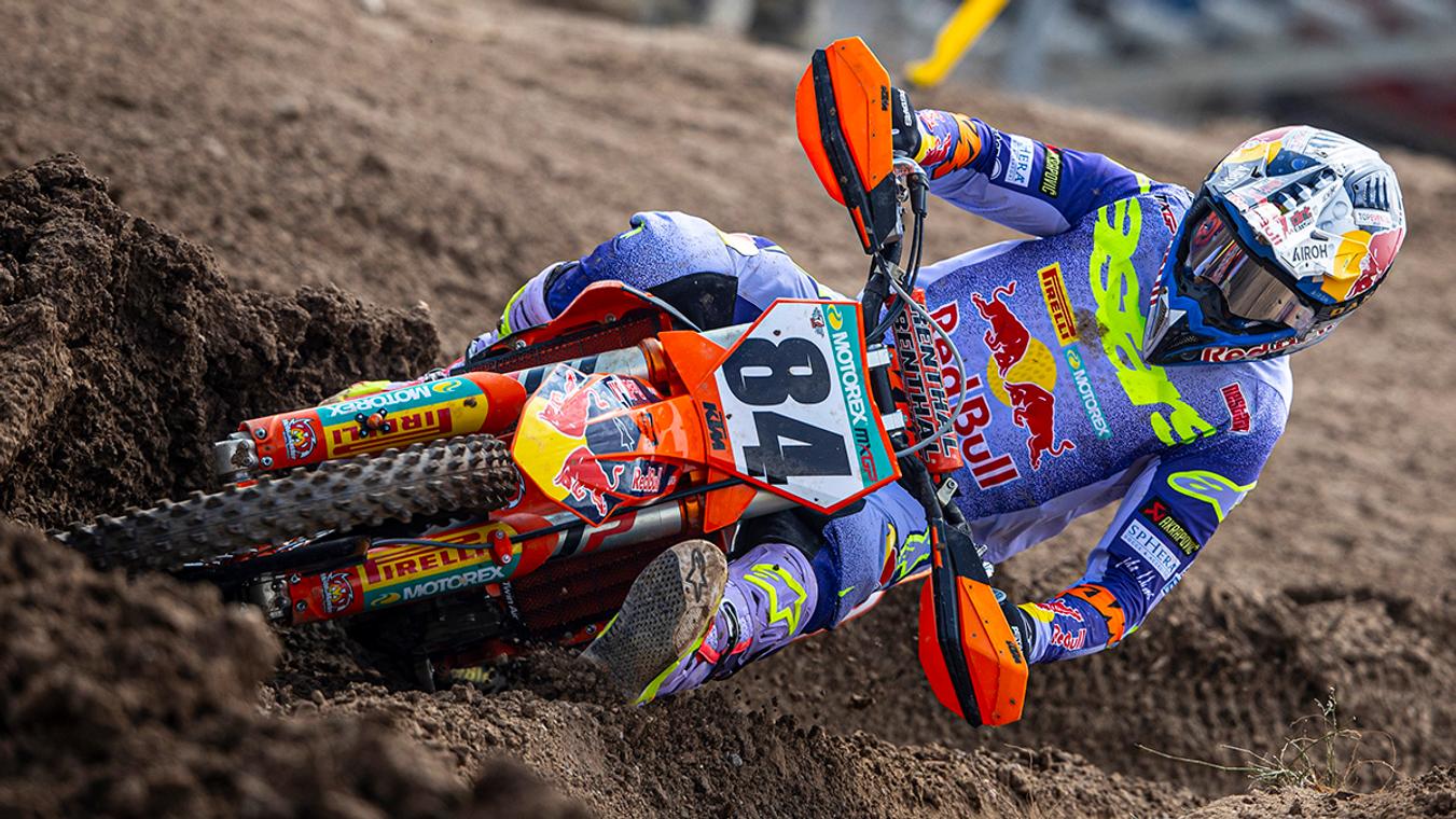 Herlings in For Lierop image