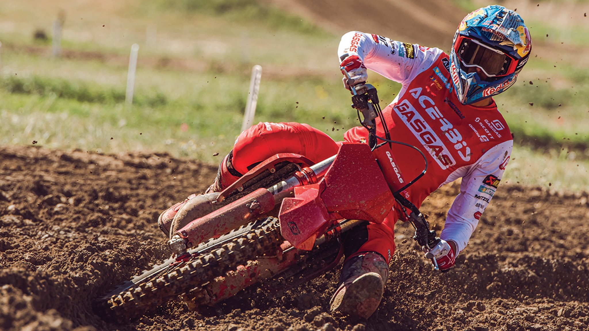 Verona On A Rollercoaster