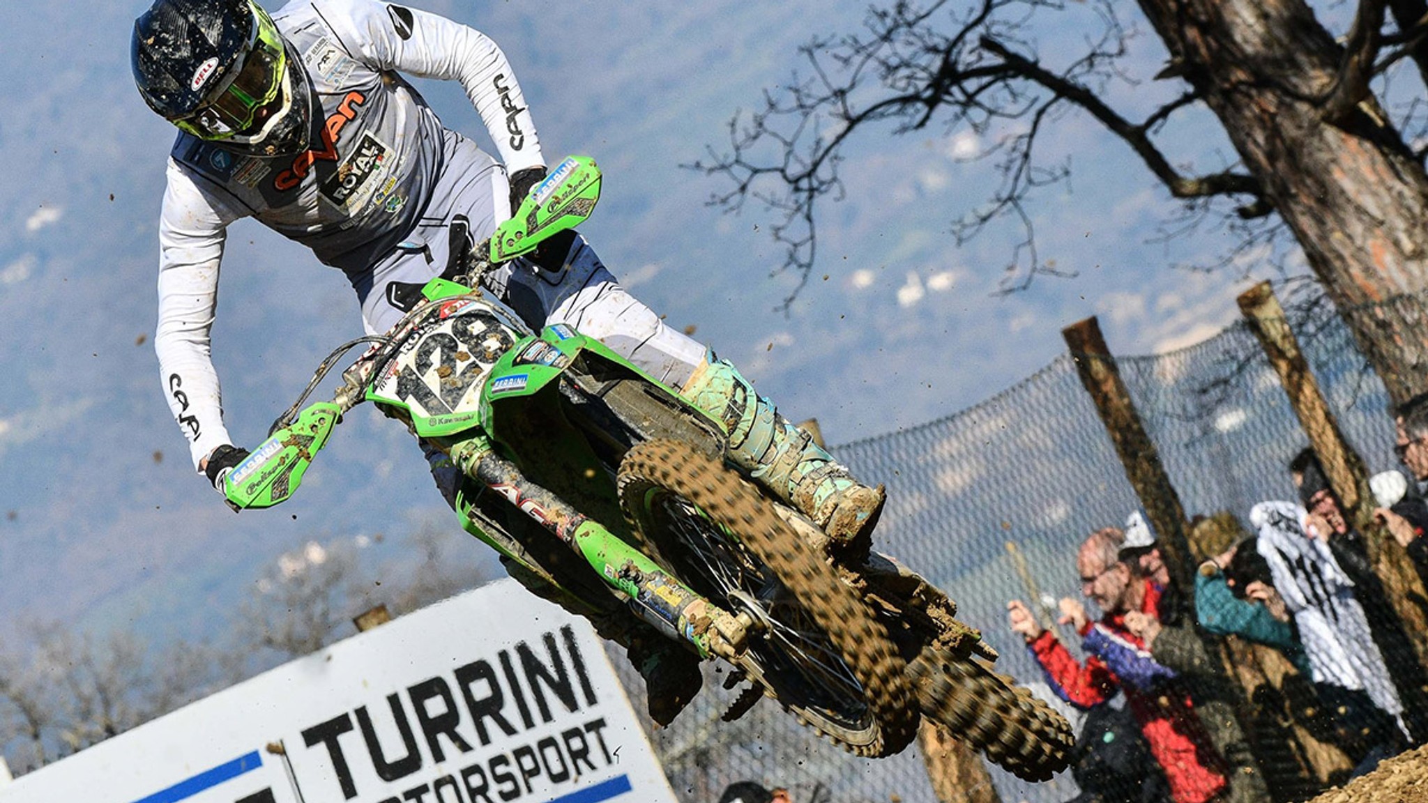 Monticelli Quickest Wild Card