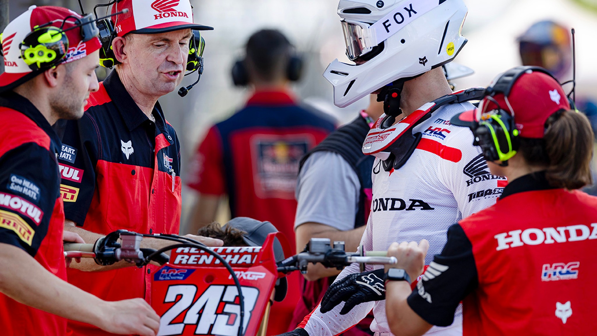 Tim Gajser - Mister 25%