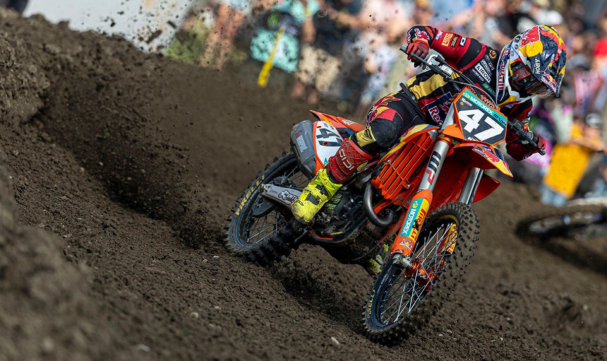 MX Large