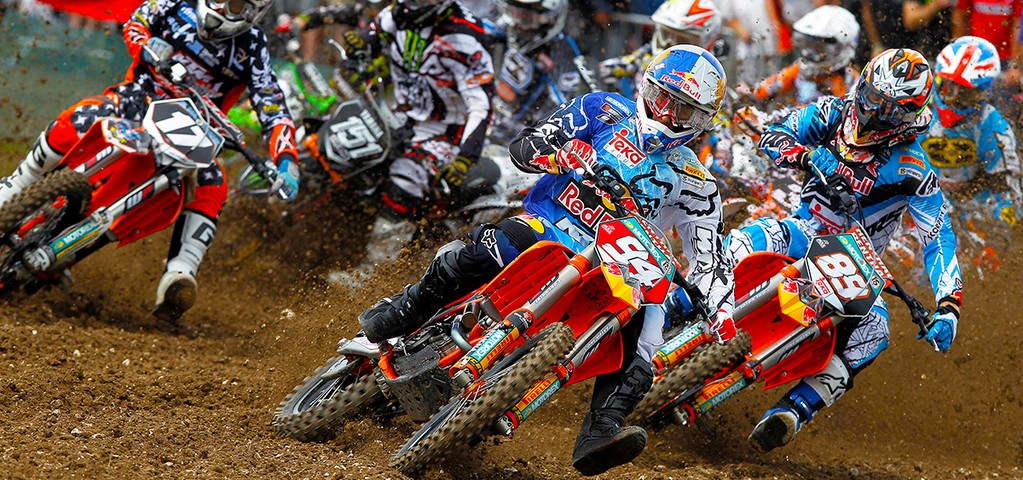 Matterley Basin - The Winners