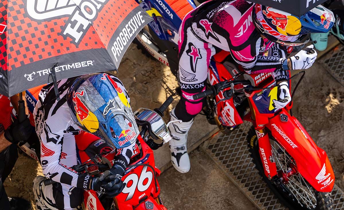 MX Large