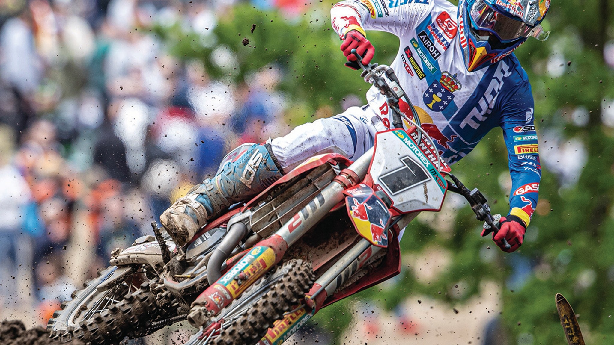 Jorge Prado interview - Winner