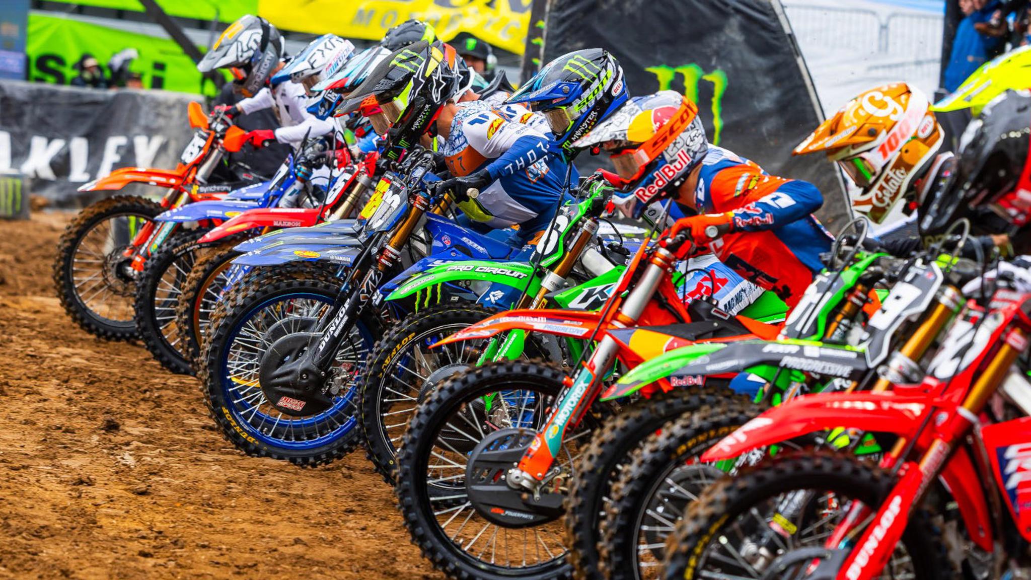 Cole Davies - The Focus