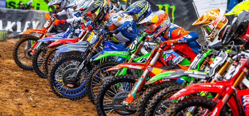 Cole Davies - The Focus