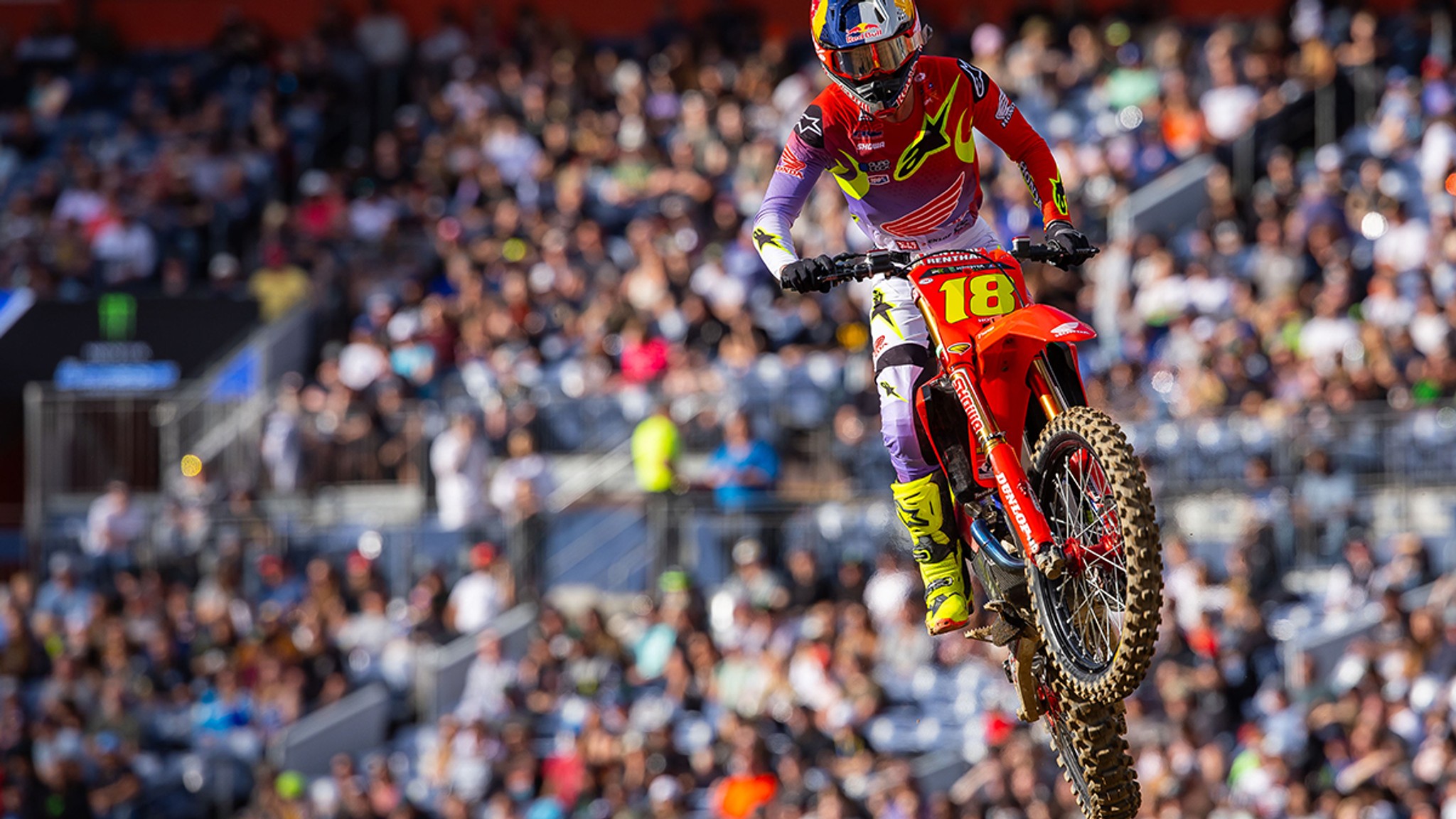 Love Them or Hate Them