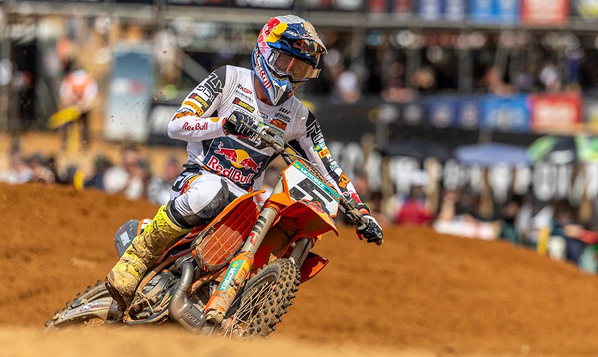 MX Large