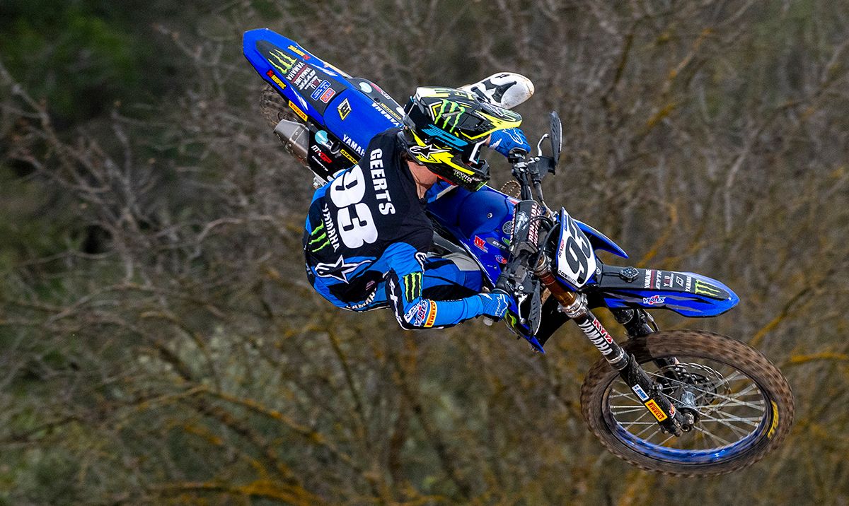 MX Large
