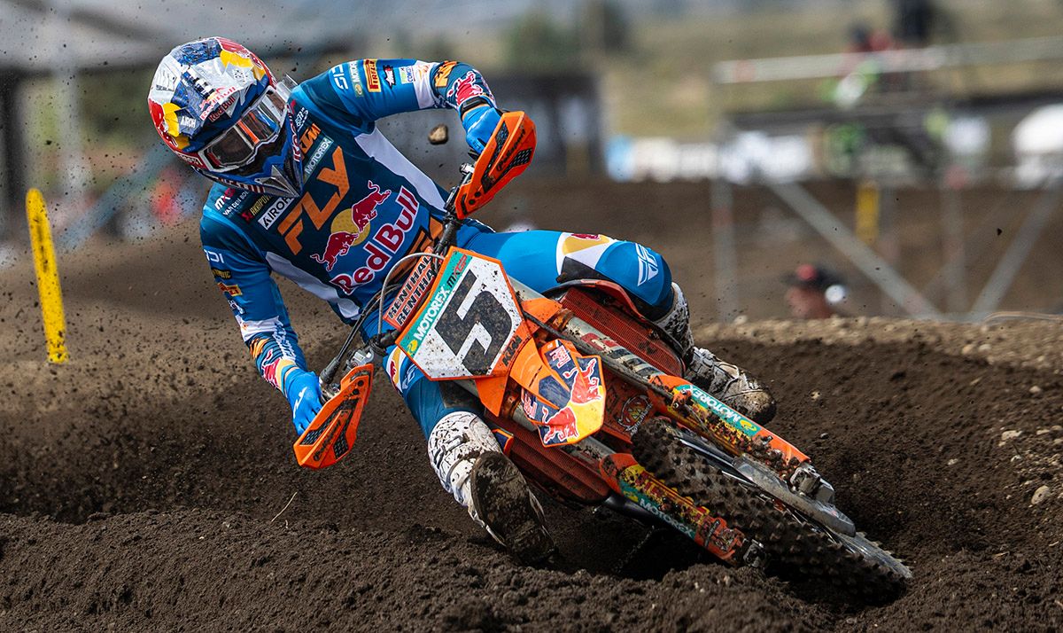 MX Large